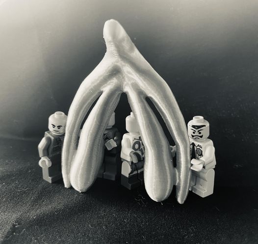 The Mystery of The Missing Clitoris